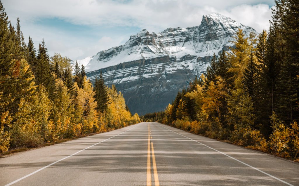 Banff Fall Foliage Guide - Icefields Parkway in the fall