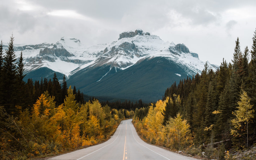 Icefields Parkway in the fall