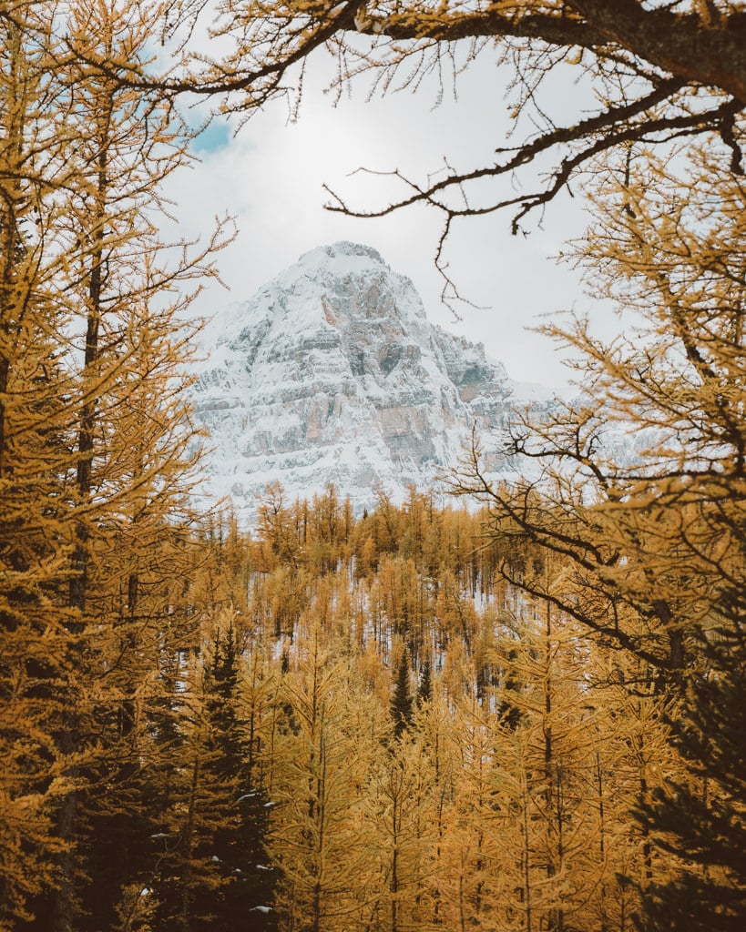 Larch Valley in Banff National Park