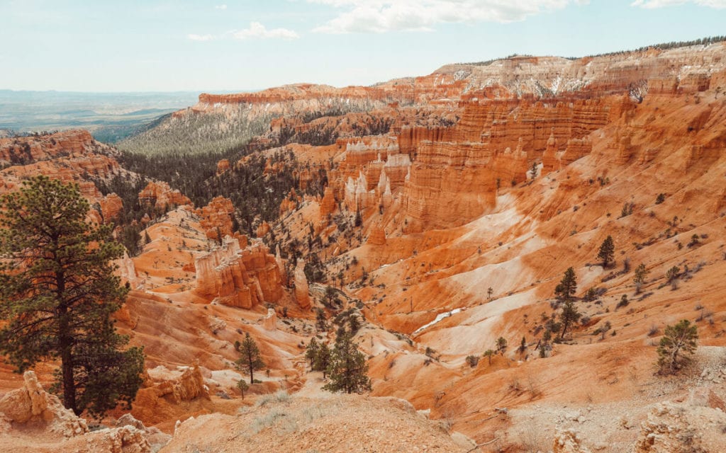 sunny day over the orange hoodoos from sunrise point in bryce national park