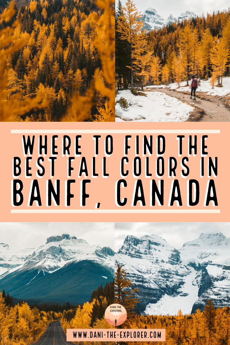 What To Do In Banff This Fall Season A Foliage Guide Dani