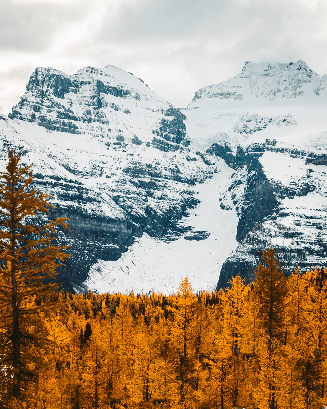 What To Do In Banff This Fall Season: A Foliage Guide - Dani The Explorer