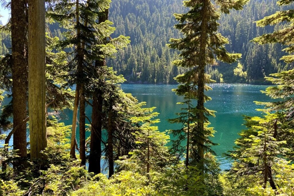 sunny day over the blue lake at Gobbler's Knob + Lake George hike in mt rainier