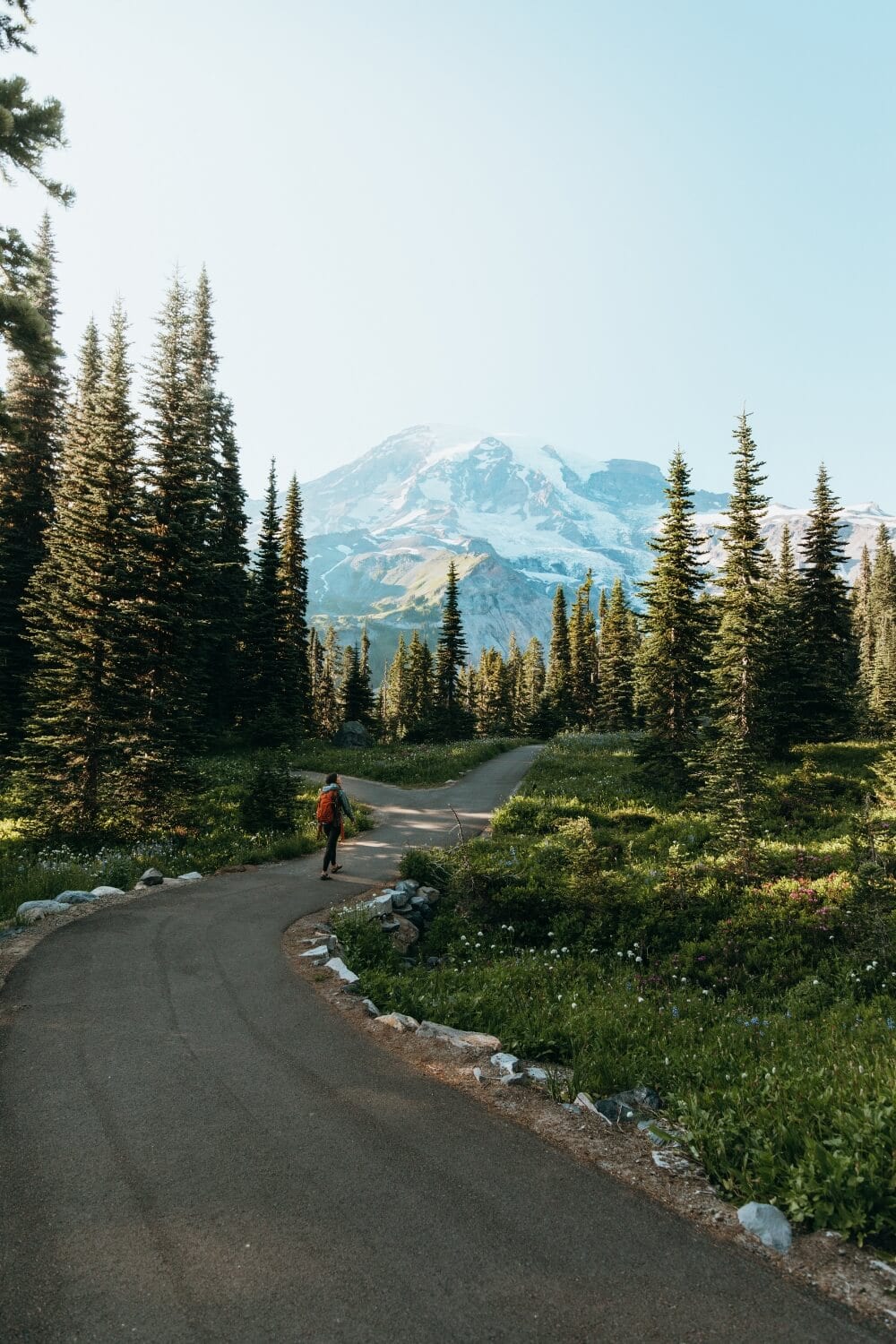 female hiker on Nisqually Vista Loop Trail in Mt Rainier National Park