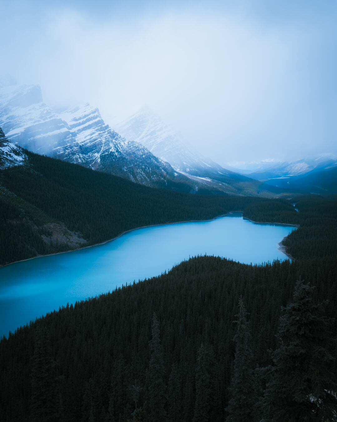 cloudy day over peyto lake in banff