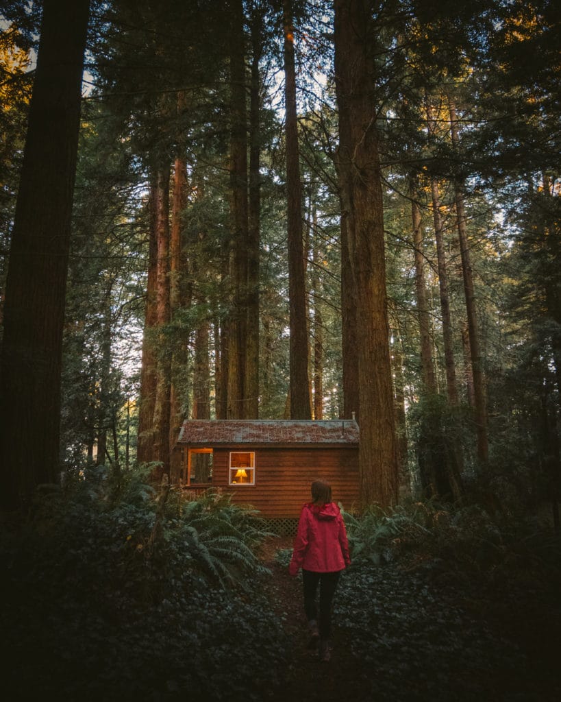 girl walking in Redwood National Park