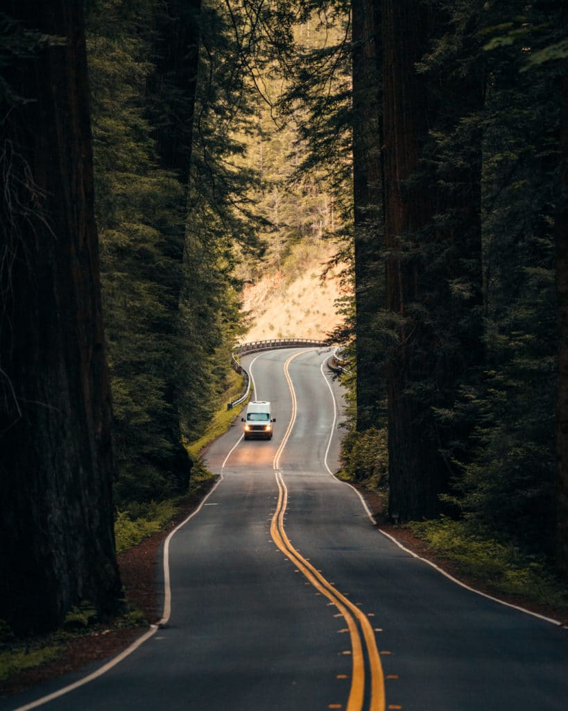 car driving in Redwood National Park