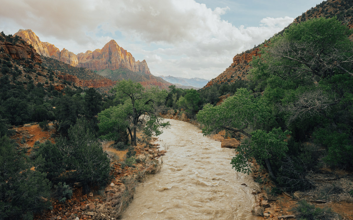 Zion National Park Guide - View of Virgin River