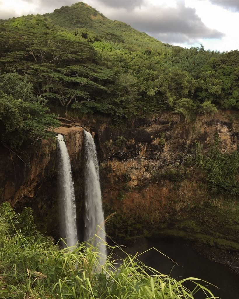 lush greenery around Wailua Falls Kauai Hawaii