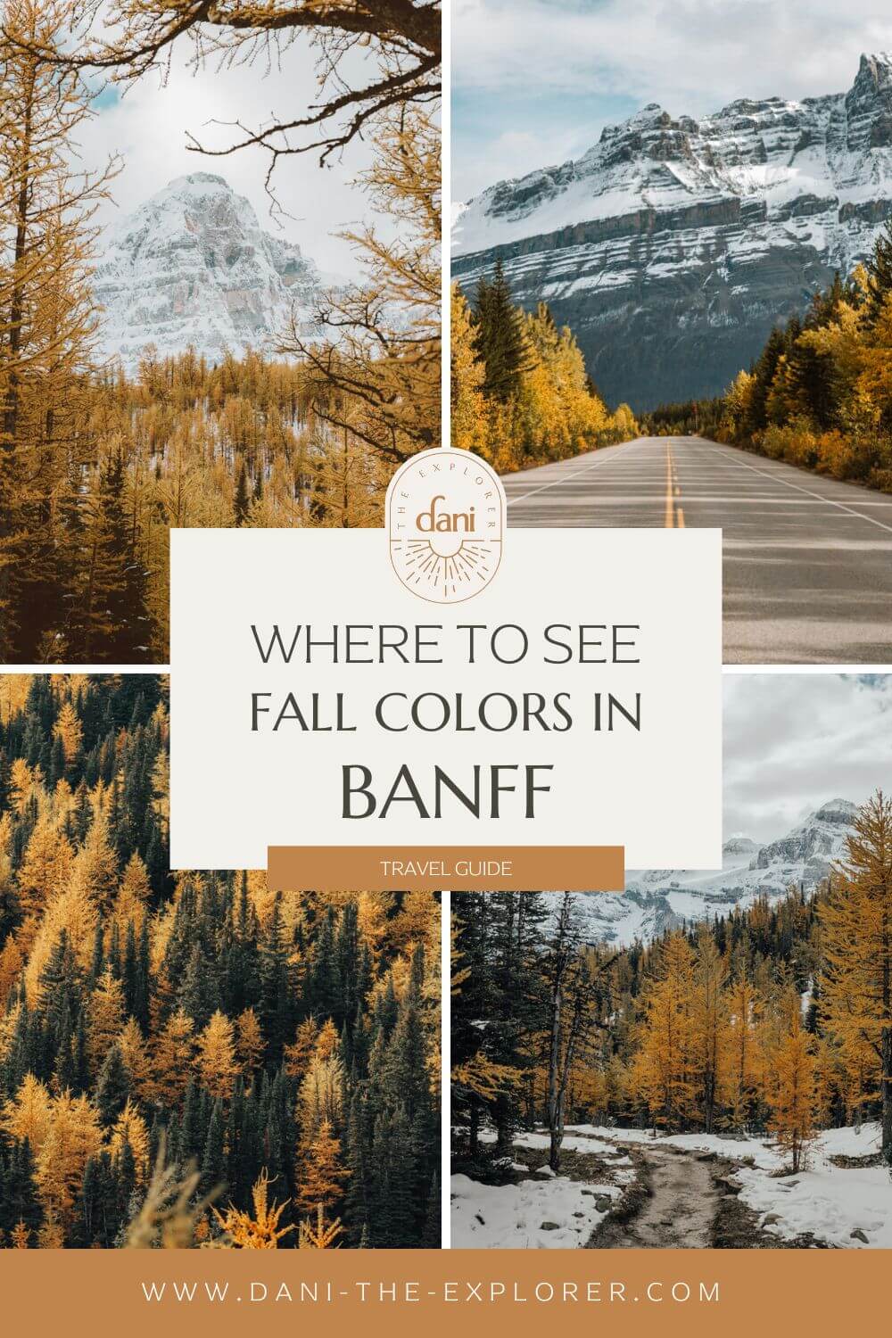 Where to see fall colors in banff national park