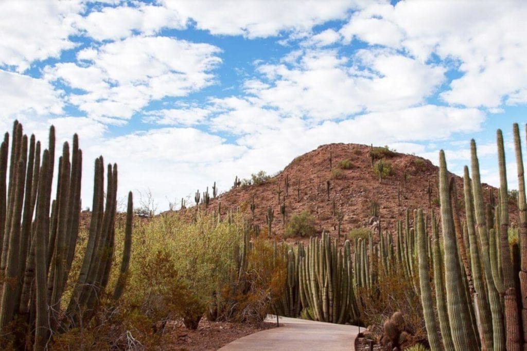 Things to Do in Scottsdale: activities, attractions, nature parks and events