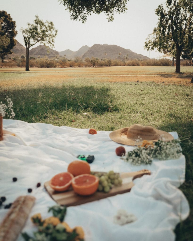 lush picnic with grapefruit on a sunny day in Granada Park Phoenix