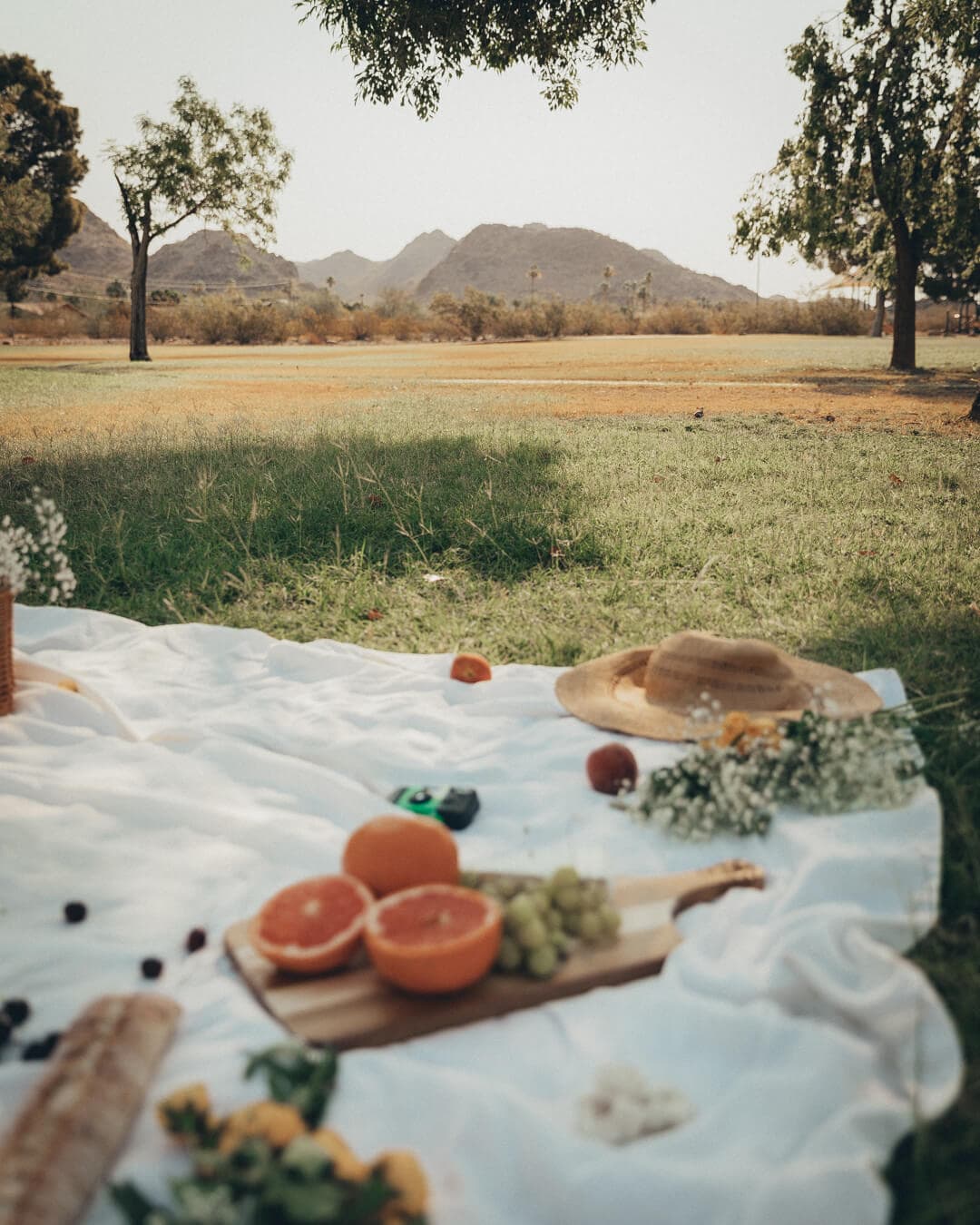 view of a picnic at granada park in phoenix arizona