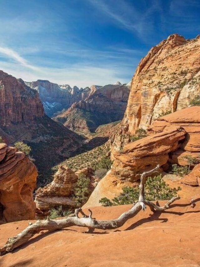 Things to Do in Zion National Park Besides Hiking Story