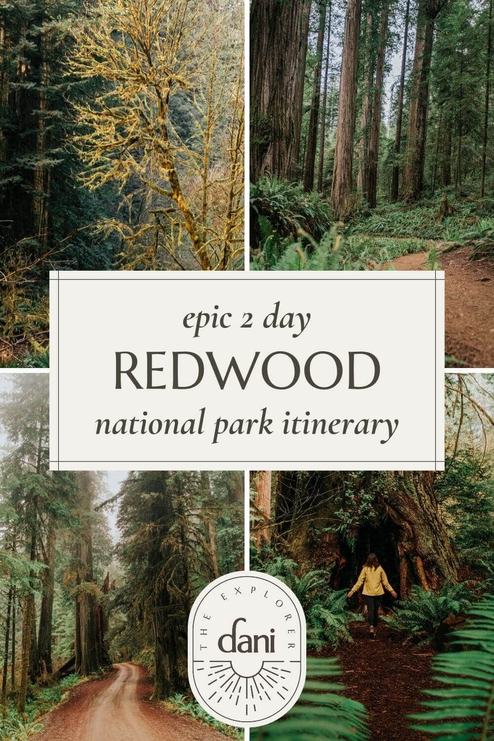 2 day redwood national park itinerary
