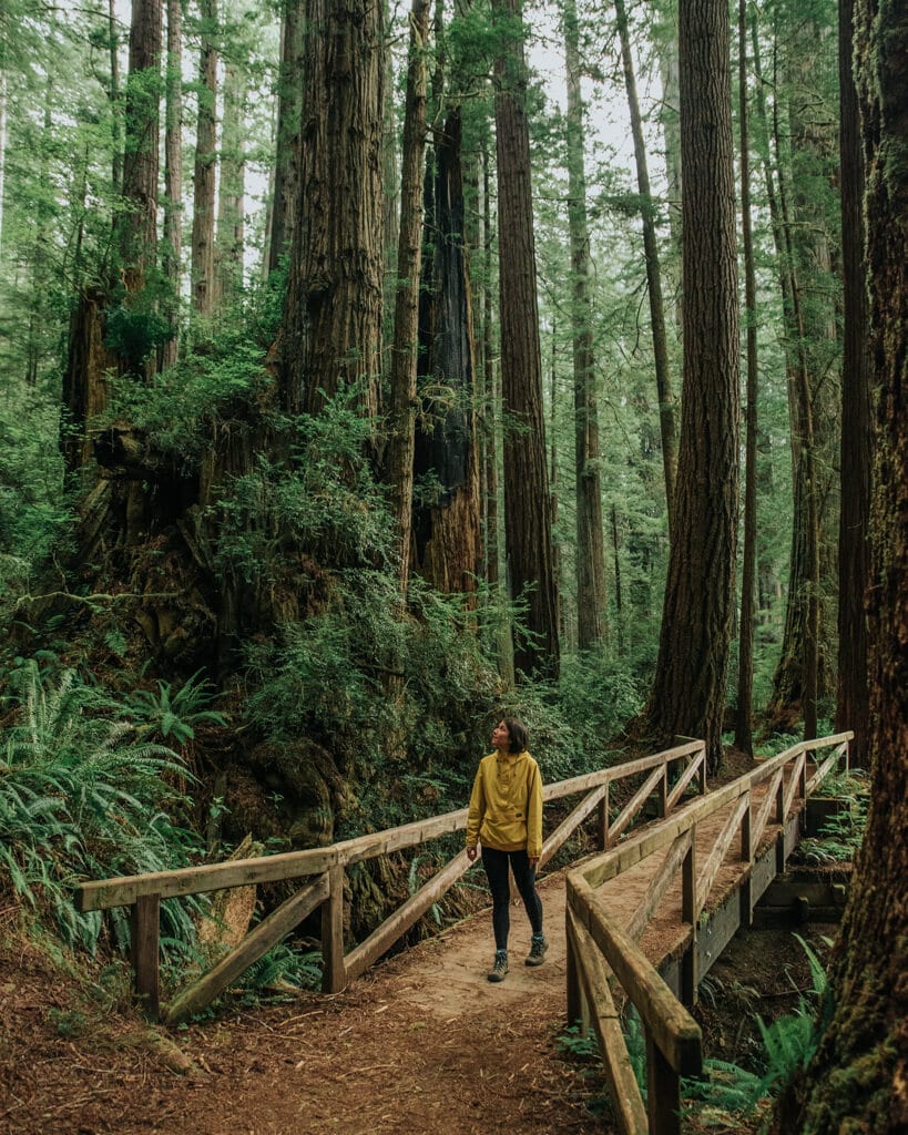 girl in a yellow jacket hiking along redwood national park california
