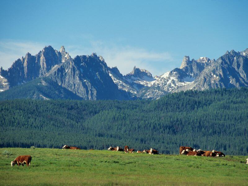 view of the sawtooth mountains in idaho