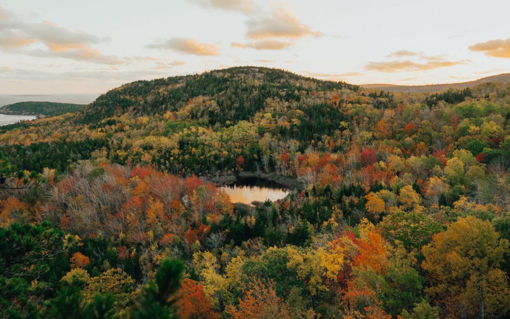 sunset over acadia national park with fall foliage