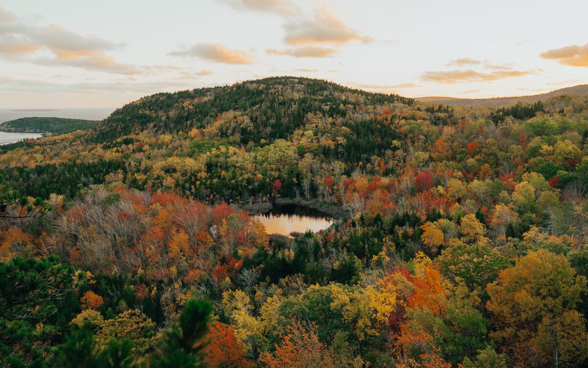 view of bright yellow orange and red fall foliage in acadia national park