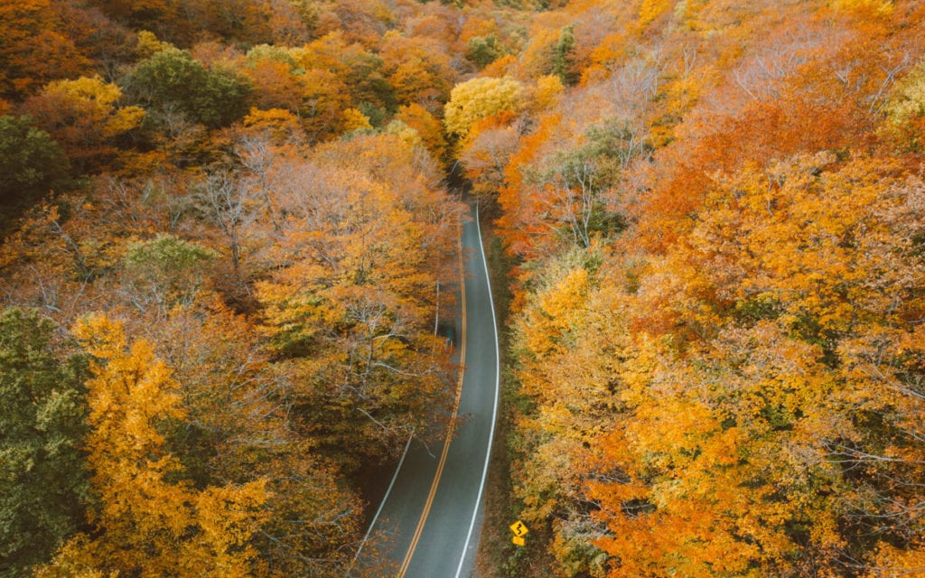 Fall colors on a New England road