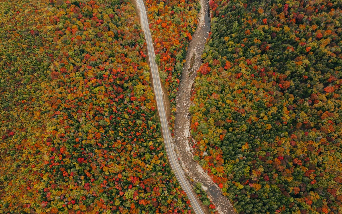 view of red and orange fall foliage along the kancamagus highway nh