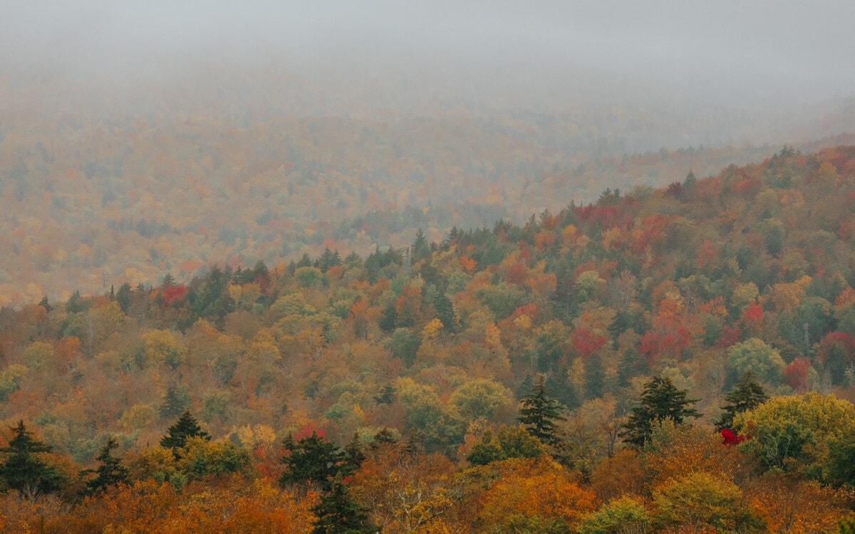 view of red and orange fall colors in the adirondack mountains in new york
