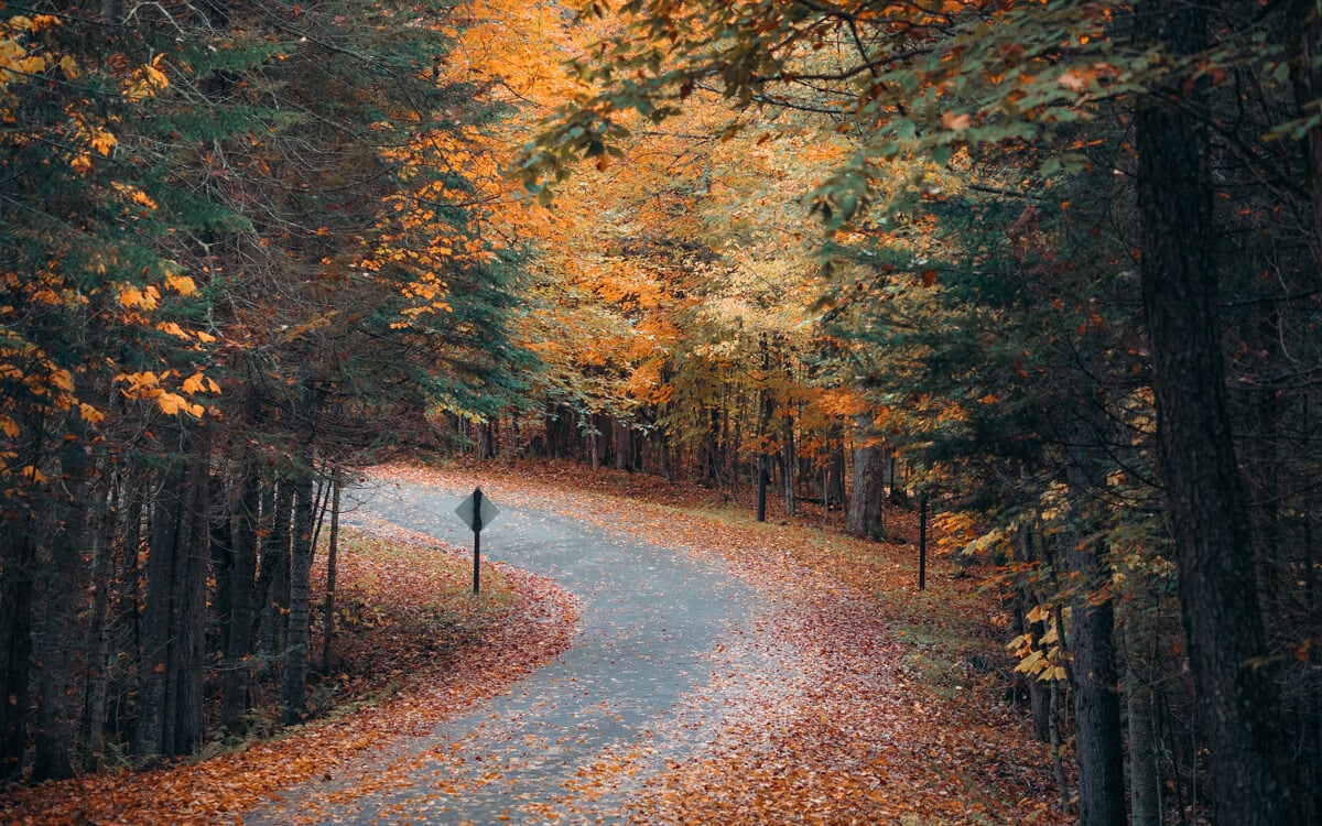 fall foliage covering a road near whiteface mountain in the adirondack mountains