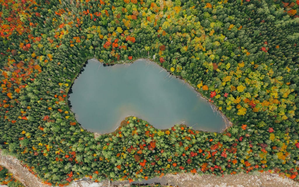aerial view of fall colors surrounding falls pond along the kancamagus highway nh