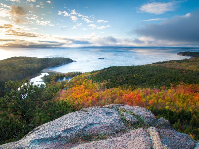 view of the ocean lined with fall foliage in acadia national park maine