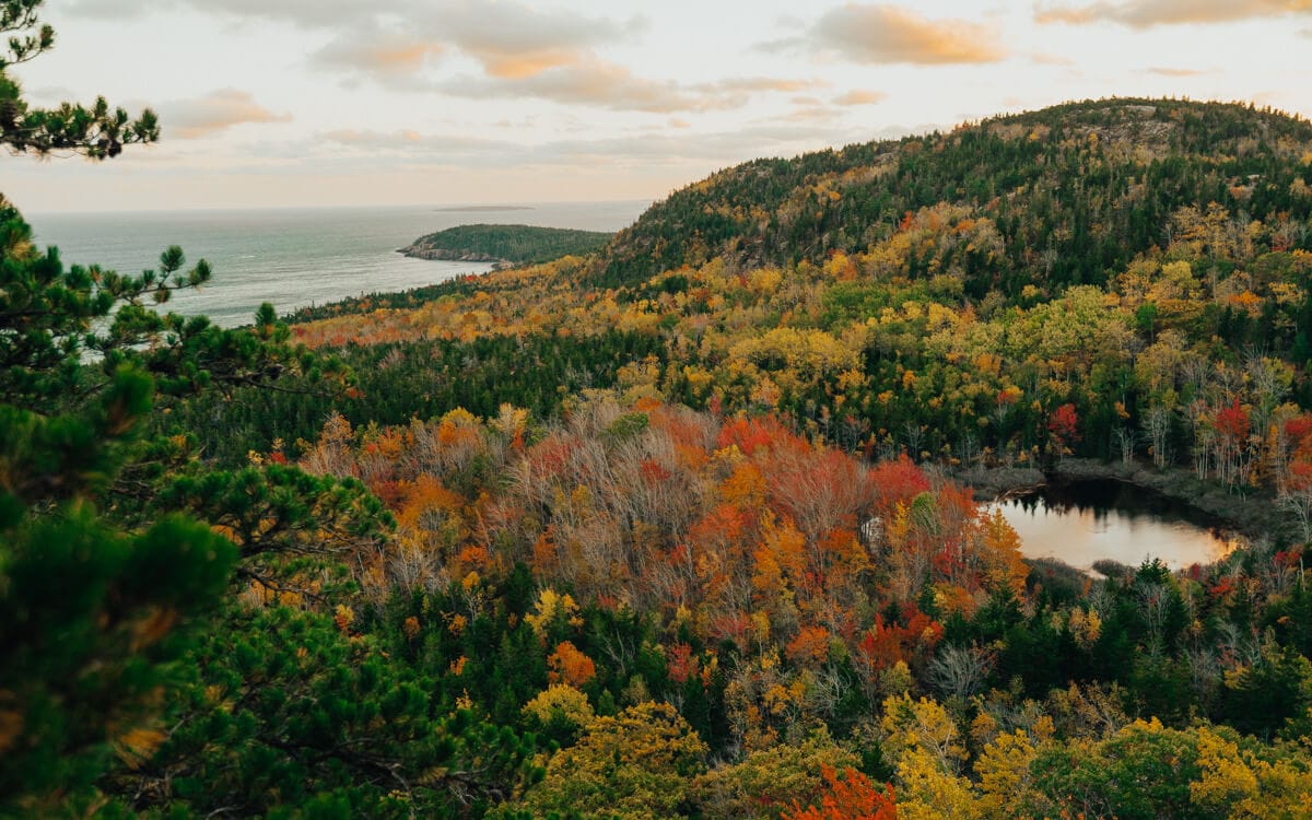 view of the ocean and hills with fall foliage in acadia national park maine