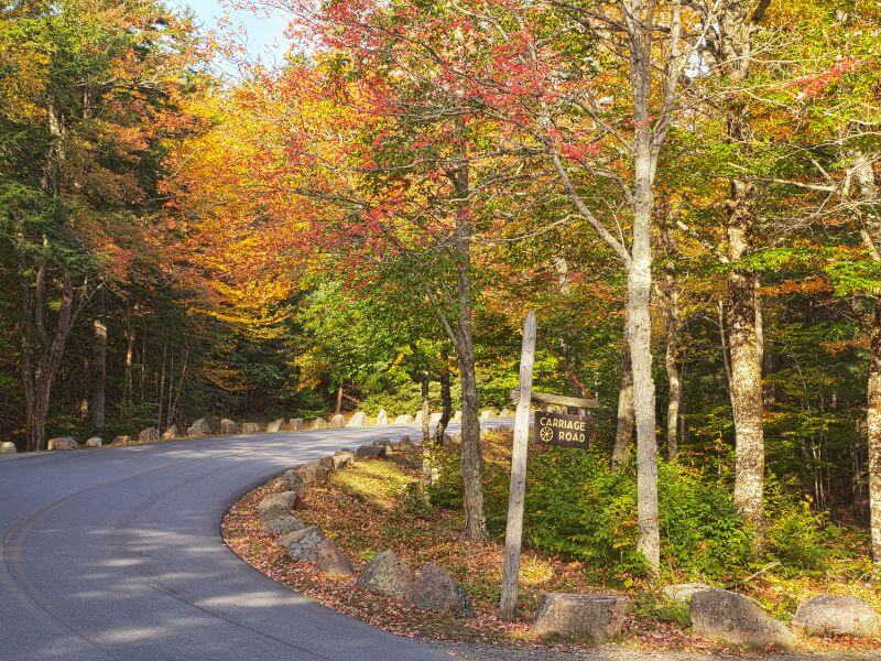 view of acadia national park carriage road in fall