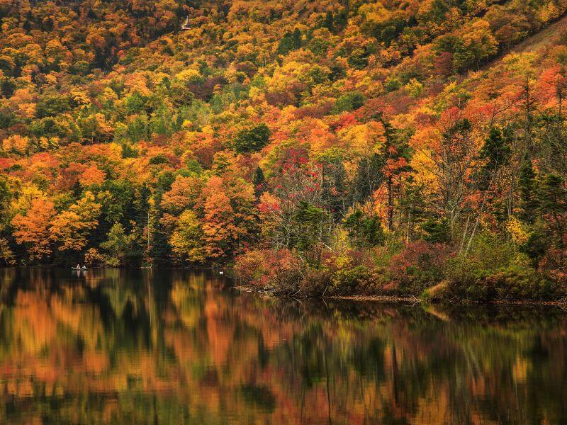 view of fall foliage around echo lake new hampshire white mountains in fall