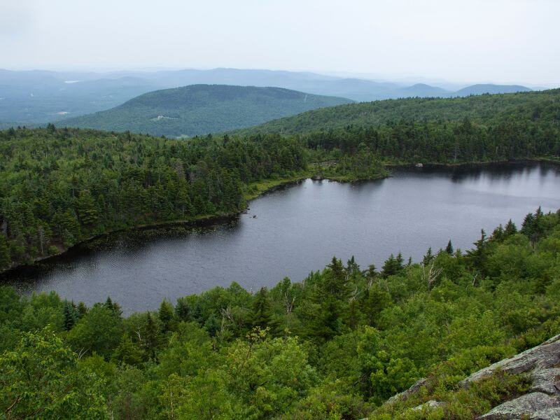view of greenery around lake solitude in the white mountain national forest new hampshire