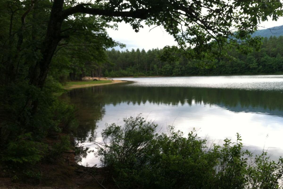 view of a pond in north conway new hampshire