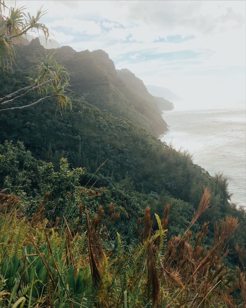 greenery and sea cliffs from the kalalau trail in kauai hawaii