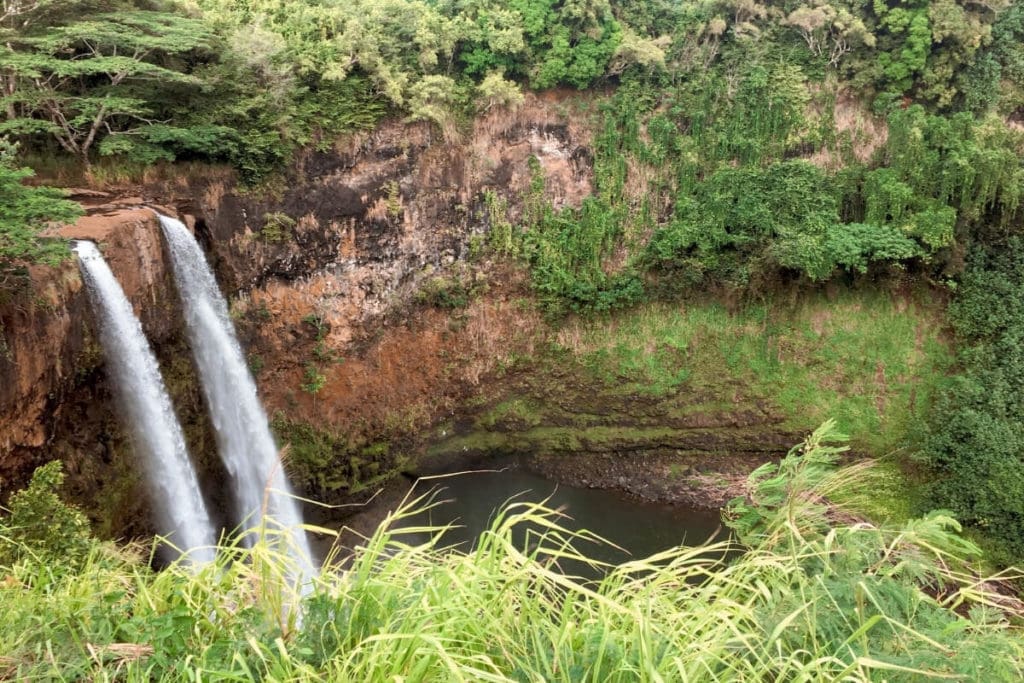 lush greenery around Wailua Falls in Kauai Hawaii