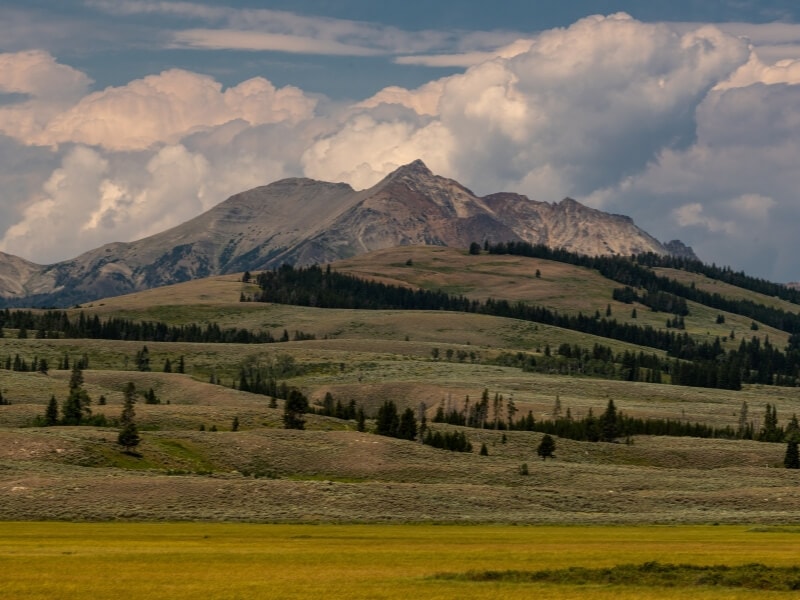 cloudy day over electric peak in yellowstone national park