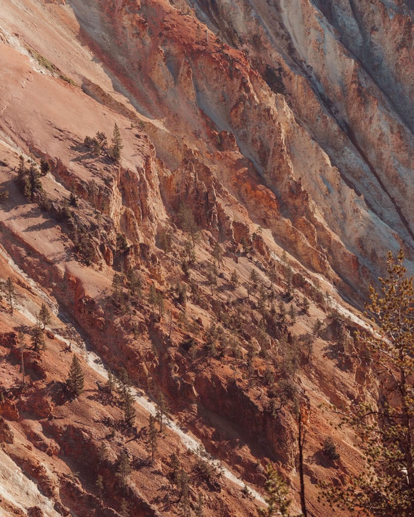 pastel pink rocks lining grand canyon of the yellowstone river