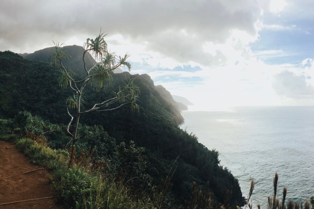 View of coastline and green cliffs on Kalalau Trail in Kauai Hawaii