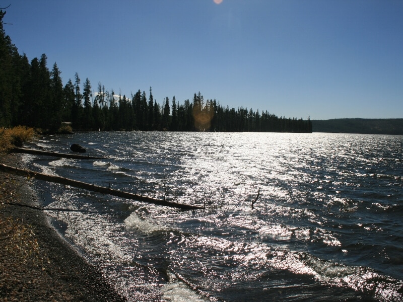 bight mid day on lewis lake in yellowstone national park