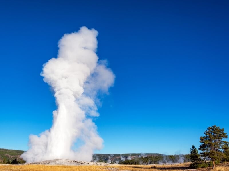 clear blue skies over the old faithful geyser in yellowstone national park