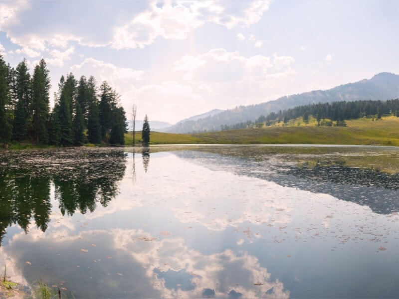sunny day over a clear trout lake causing a reflection in the water | yellowstone national park