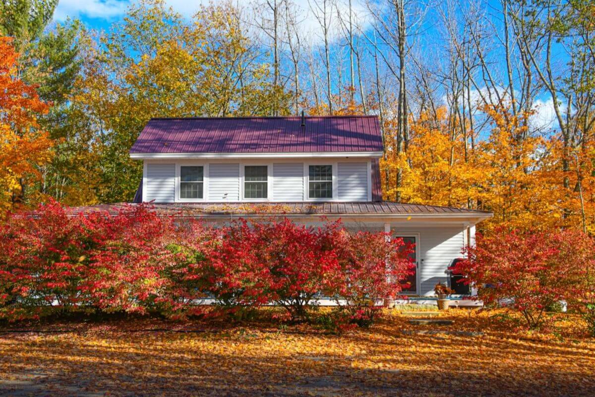 Things to Do in North Conway, NH 11+ Attractions & Activities