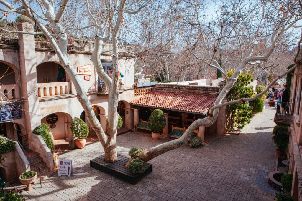 courtyard and large tree in Tlaquepaque Arts