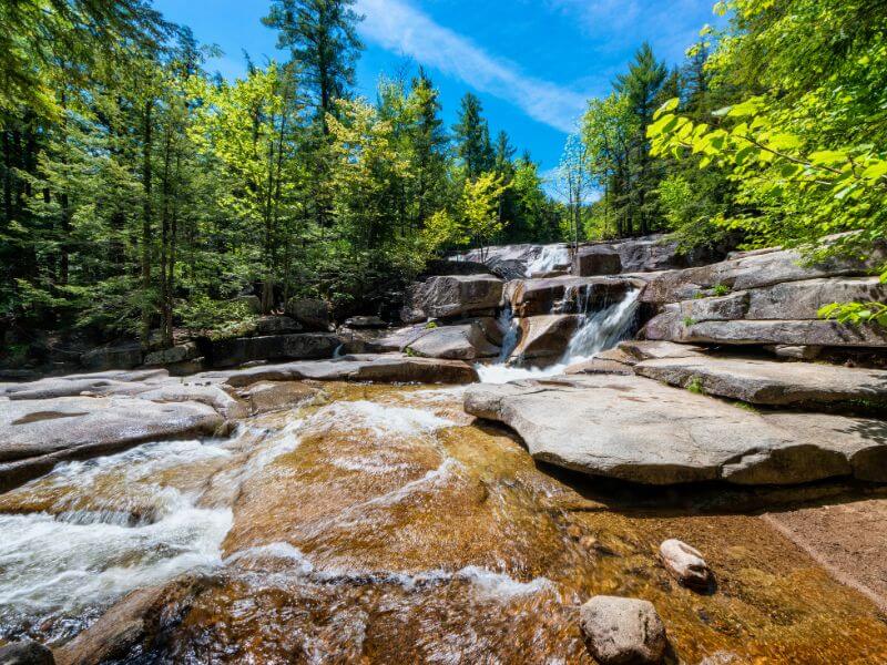 green pine trees around dianas bath waterfall in conway new hampshire