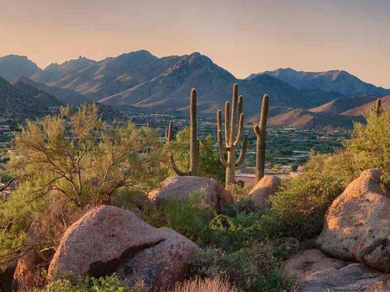 19 Unique Things To Do In Scottsdale, AZ Right Now
