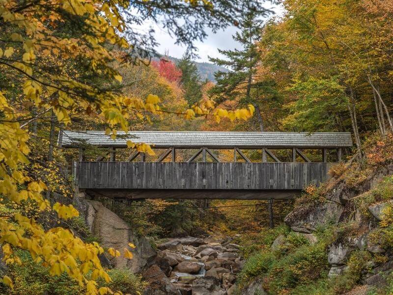 Sentinel Pine Covered Bridge surrounded by yellow and orange fall foliage