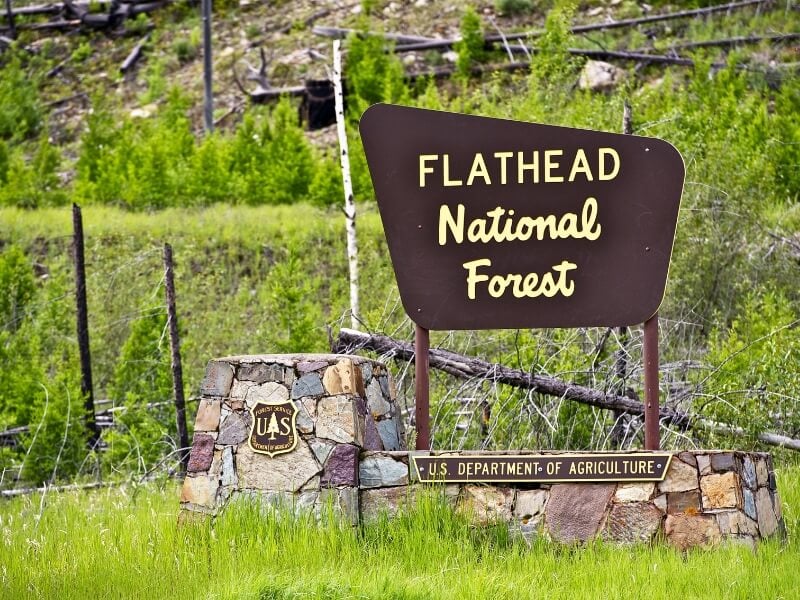 brown sign for Flathead National Forest montana