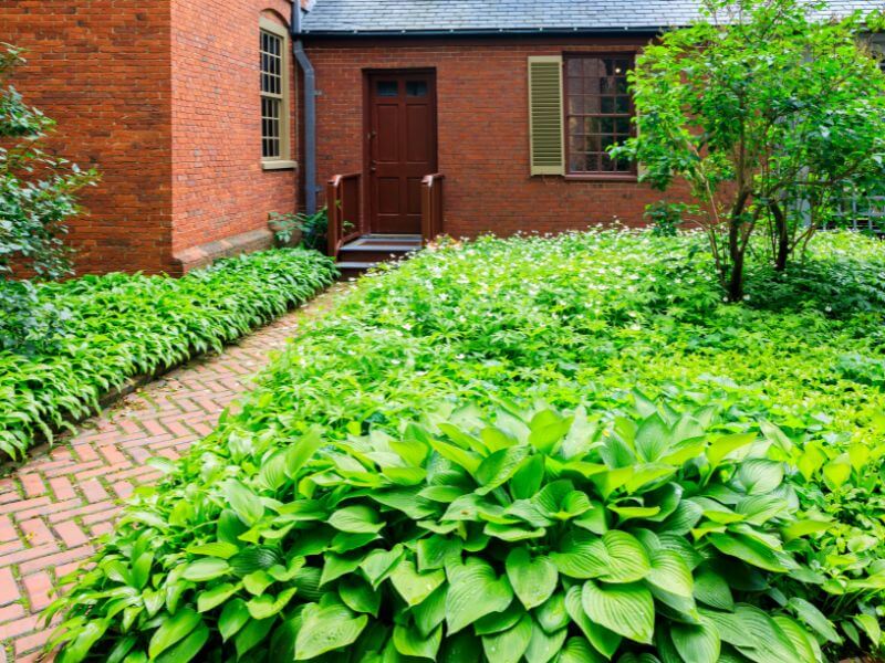 bright green walkway and red brick exterior of wadsworth longfellow house portland maine