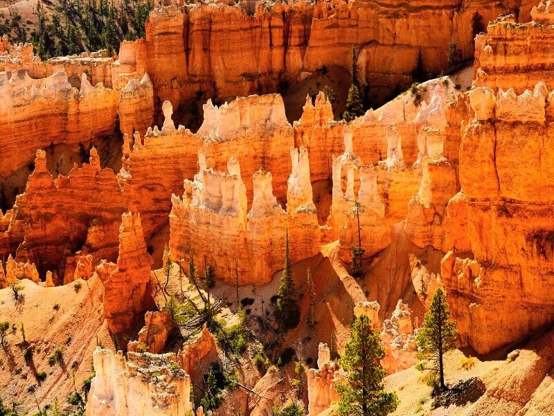 bright orange hoodoos in bryce canyon national park utah